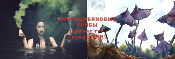прущая мука Бородино